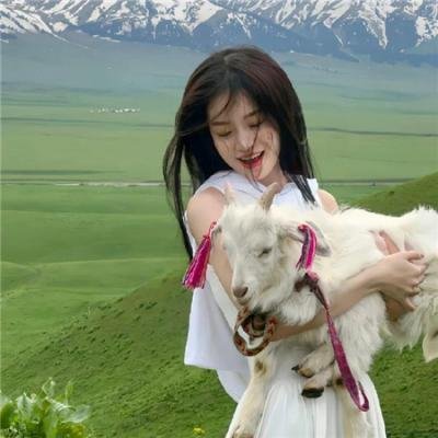 了不起的狐狸爸爸